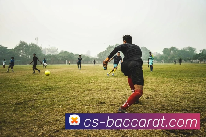 App Interface Preview